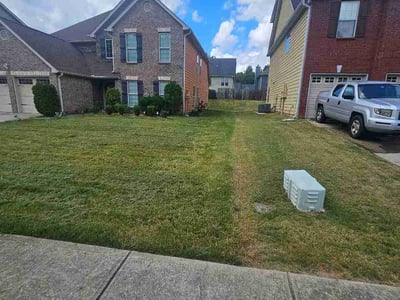 Lawn Care service in Jonesboro, 30236