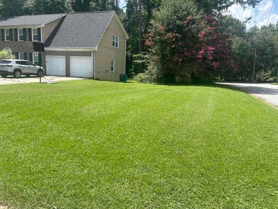 Lawn Care service in Stone Mountain, 30083