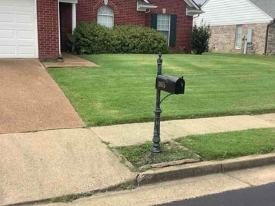 Lawn Care service in Arlington, 38002