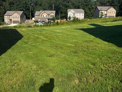Lawn Care service in Jonesboro, 30236