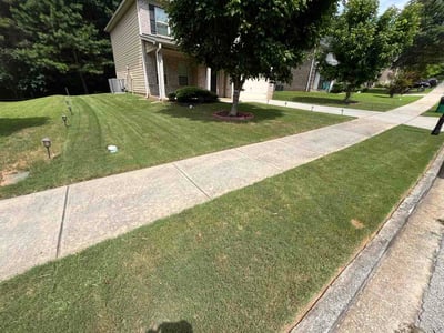 Lawn Care service in Ellenwood, 30294