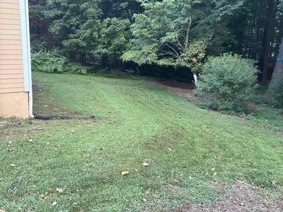 Lawn Care service in Norcross, 30071