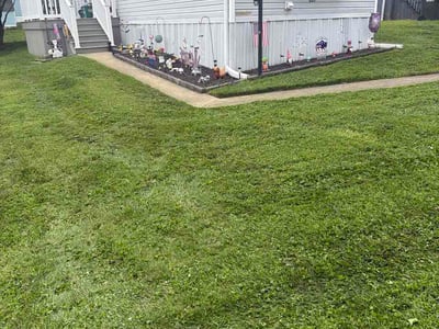 Lawn Care service in New Holland, 17557