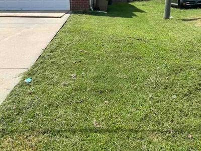 Lawn Care service in Columbia, 38401