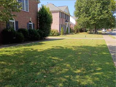 Lawn Care service in Woodbury, 37190