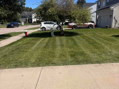 Lawn Care service in Lorain, 44052