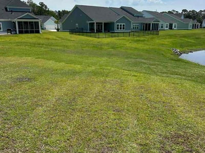 Lawn Care service in Loris, 29569