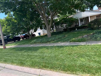 Lawn Care service in Lorain, 44052