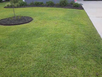 Lawn Care service in Loris, 29569