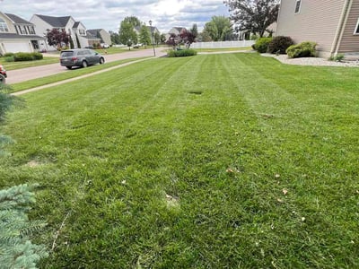 Lawn Care service in Lorain, 44052