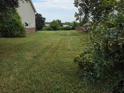 Lawn Care service in Kingston Springs, 37082