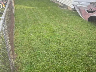 Lawn Care service in Beaver Falls, 15010