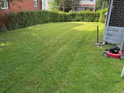 Lawn Care service in Beaver Falls, 15010