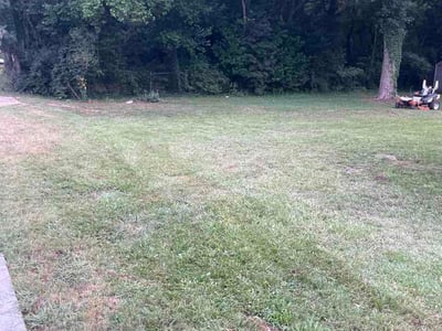 Lawn Care service in Hampton, 30228