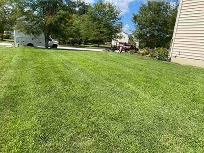 Lawn Care service in Coatesville, 19320