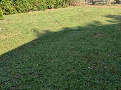 Lawn Care service in Sand Springs, 74063