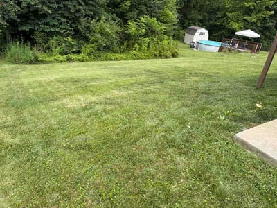 Lawn Care service in Corryton, 37721