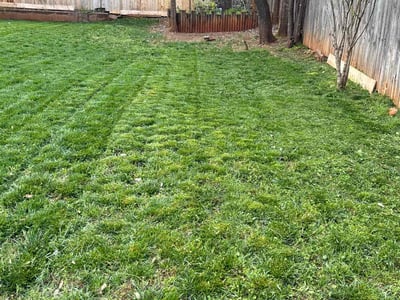 Lawn Care service in Warr Acres, 73179