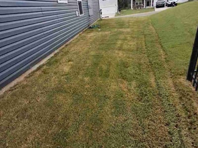 Lawn Care service in Shallotte, 28470