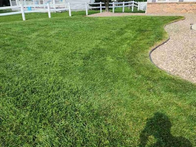 Lawn Care service in Wauseon, 43567