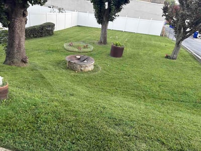 Lawn Care service in York, 17401