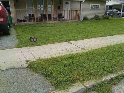 Lawn Care service in York, 17401