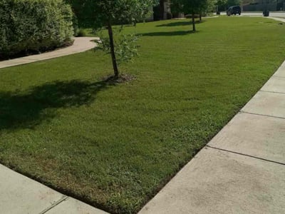 Lawn Care service in San Marcos, 78666