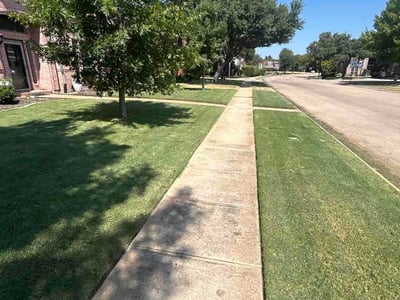 Lawn Care service in Coppell, 75019