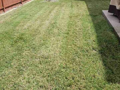 Lawn Care service in Coppell, 75019