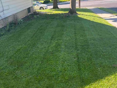 Lawn Care service in Lehigh Valley, 18103