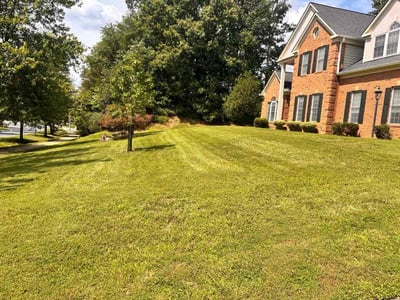 Lawn Care service in Olney, 20832
