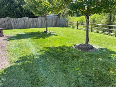 Lawn Care service in Gainesville, 20155