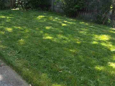 Lawn Care service in Springboro, 45066