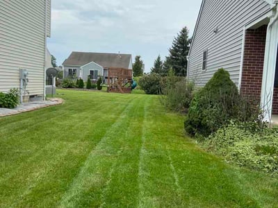 Lawn Care service in Marysville, 43040