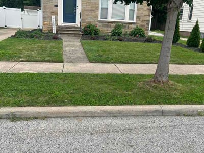Lawn Care service in Brunswick, 44212