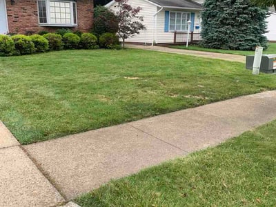 Lawn Care service in Brunswick, 44212