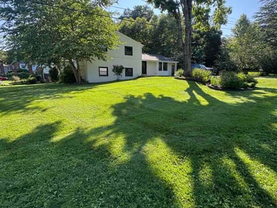 Lawn Care service in Chevy Chase, 20815