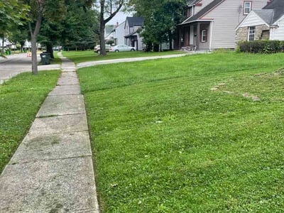 Lawn Care service in Parma Heights, 44130