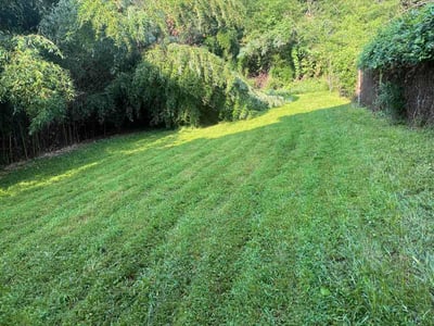 Lawn Care service in Dunbar, 15431