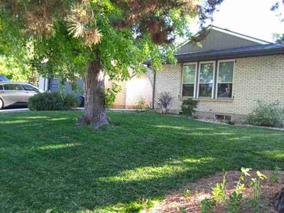 Lawn Care service in Englewood, 80113