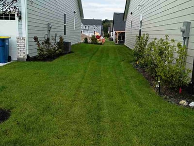 Lawn Care service in Dunbar, 15431