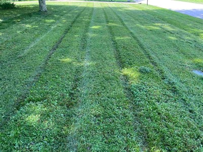 Lawn Care service in Batavia, 45103