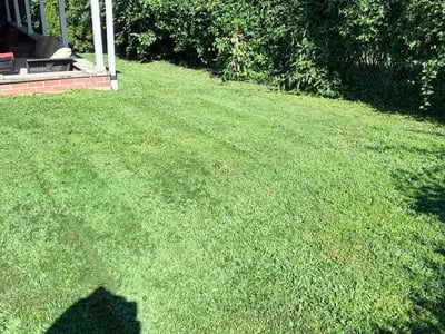 Lawn Care service in Havertown, 19083