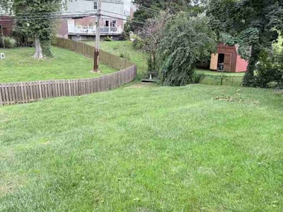 Lawn Care service in Havertown, 19083
