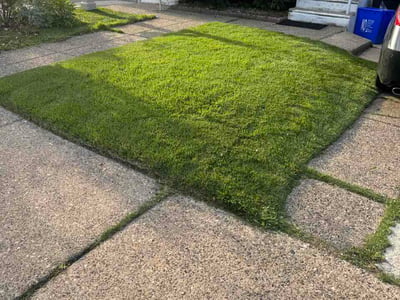 Lawn Care service in Havertown, 19083