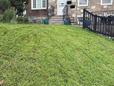 Lawn Care service in Havertown, 19083