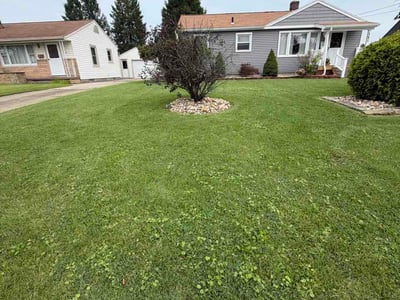 Lawn Care service in Lakewood, 44107