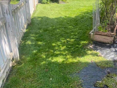 Lawn Care service in Pataskala, 43062