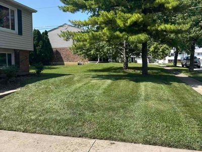 Lawn Care service in Norwood, 45212