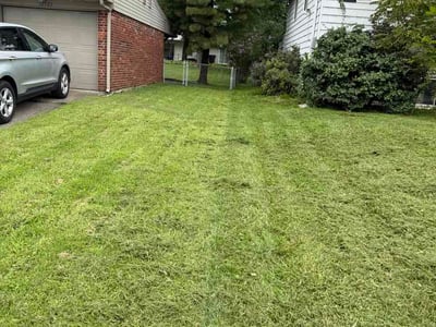 Lawn Care service in Norwood, 45212